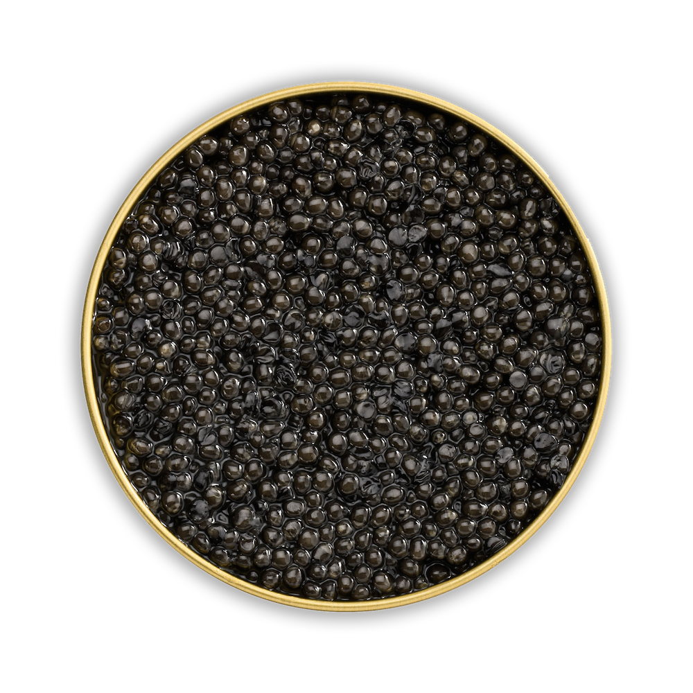 Osietra Caviar Lemberg