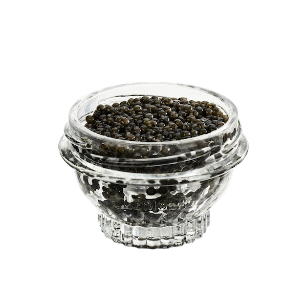 glass jar of beluga caviar