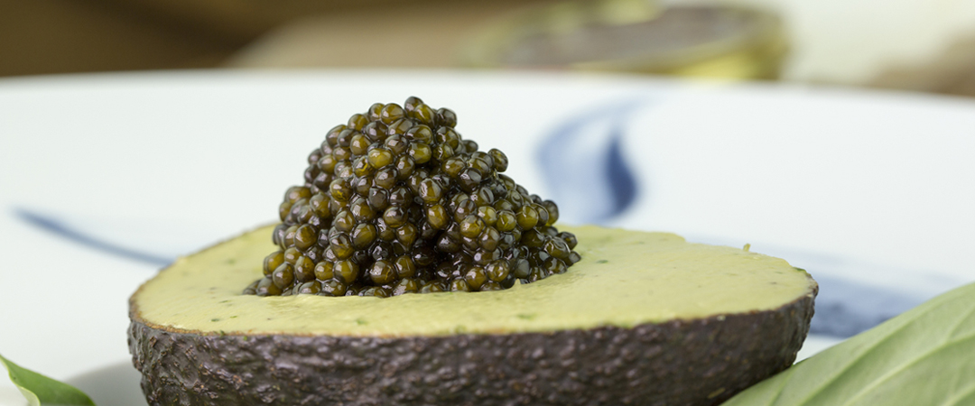 avocado with Sturgeon Caviar Amur Royal